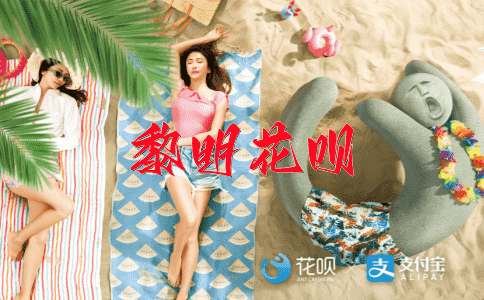 一手遮天（用权谋掩盖真相）花呗